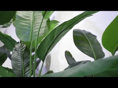 Rotacja sekcji wideo