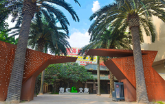 dostawca roślin sztucznych