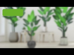 Faux Traveller's Palm Tree (ptaki z rajskiej palmy) - 180cm/200cm Realistyczny PE Leaf Artificial Pl