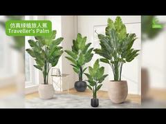 Sztuczna Palma Podróżnika z Realistycznymi Krawędziami Liści 160cm 180cm | Realistyczna Sztuczna Roślina Rajska