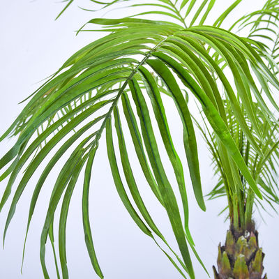 Dorm Room 3 Meter Artificial Potted Floor Plants Phoenix Palm Tree Plants