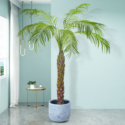 Dorm Room 3 Meter Artificial Potted Floor Plants Phoenix Palm Tree Plants