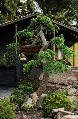 Dorm Room Decorative Artificial Potted Pine Tree 280cm Height