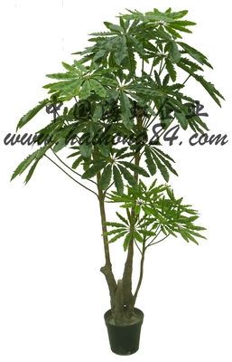 Chinese Factory Handmade 200cm Artificial False Aralia Tree For Garden And Theme Park Decoration