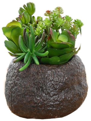 ODM Silver Color Artificial Succulent Plants For Home Desk