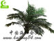 Przez cały sezon Sztuczne drzewo tropikalne o wysokości 400 cm, duże sztuczne drzewa na zewnątrz Trwałe
