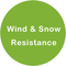 Certyfikacja odporności na wiatr i śnieg Sztuczne drzewo figowe