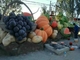 Śliczne owoce i warzywa Topiary Sculpture, Outdoor Garden Sculpture Colorful