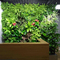 Dekoracyjna ochrona przed promieniowaniem UV w pionie, sztuczna ściana roślin HAIHONG