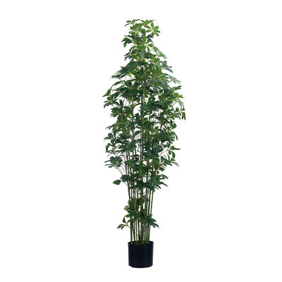 47in 59in 70in Wysoki Prawdziwy Dotknięcie Sztuczna Schefflera Drzewo Zielona Gotowa Roślina Schefflera Do Dekoracji Domów