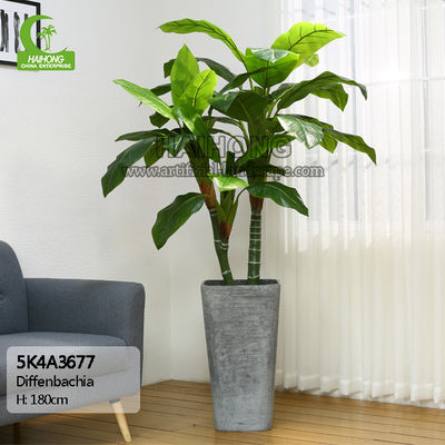 Indoor Decorative 180cm Artificial Diffenbachia Plant Big Green Leaves For Space Landscaping